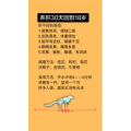 健康养生921