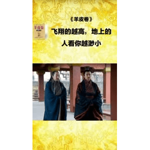健康养生937