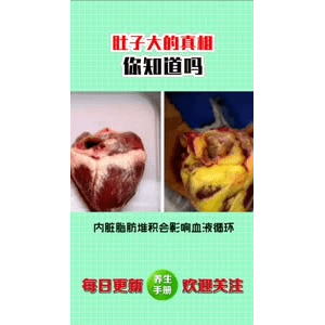 健康养生956
