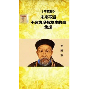 健康养生977