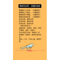 健康养生981
