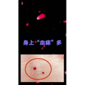 健康养生1044