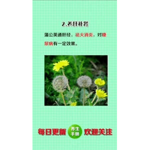 健康养生1063