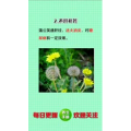健康养生1063