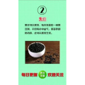 健康养生1071