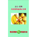 健康养生1085
