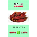 健康养生1158
