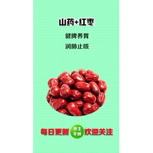 健康养生1172