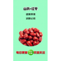 健康养生1172