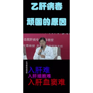 健康养生1175