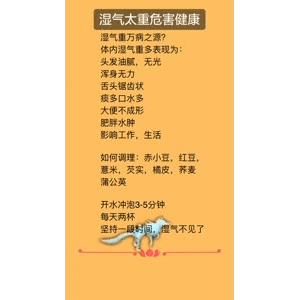 健康养生1206