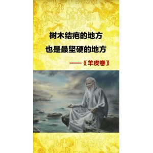 健康养生1262