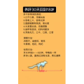 健康养生1265