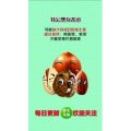 健康养生1268