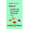 健康养生1305