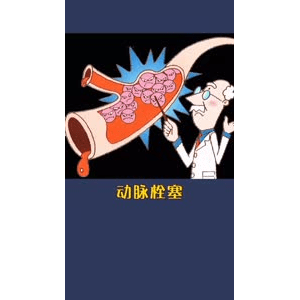 健康养生1320