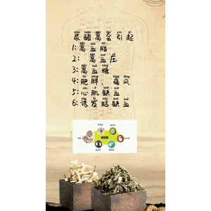 健康养生1432