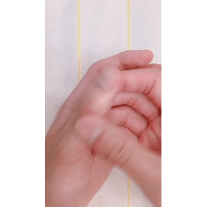 健康养生1440