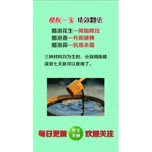 健康养生1503