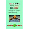 健康养生1503