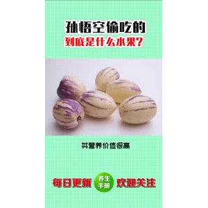 健康养生1514