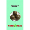 健康养生1523