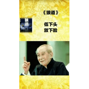 健康养生1581