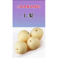 健康养生1819