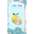 健康养生1844
