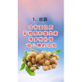 健康养生1846