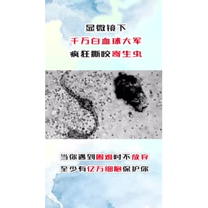 健康养生1864