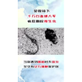 健康养生1864