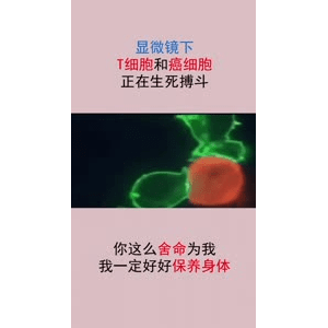 健康养生1888