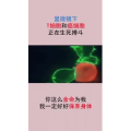 健康养生1888