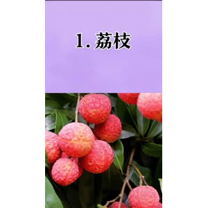 健康养生1897