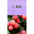 健康养生1897