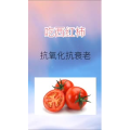 健康养生1908