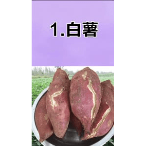 健康养生1913