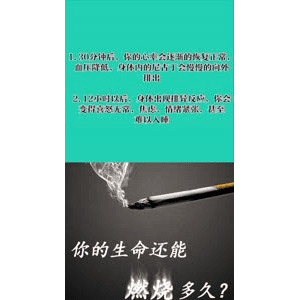 健康养生1951