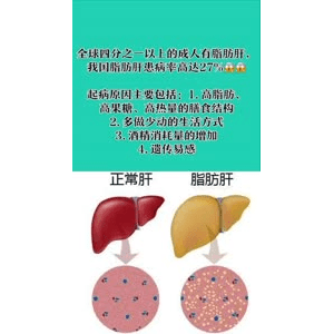 健康养生2041