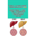 健康养生2041