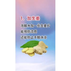 健康养生2042
