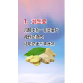 健康养生2042