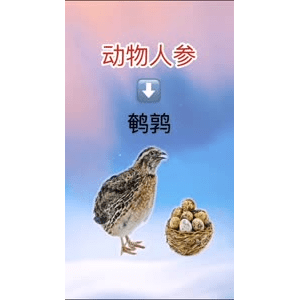 健康养生2048