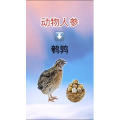 健康养生2048