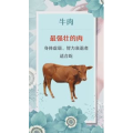 健康养生2061