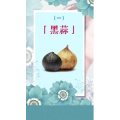 健康养生2088