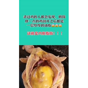 健康养生2104