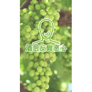 健康养生2156