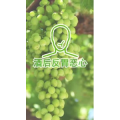 健康养生2156